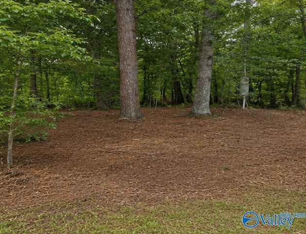 491 County Road 65, Centre, AL 35960