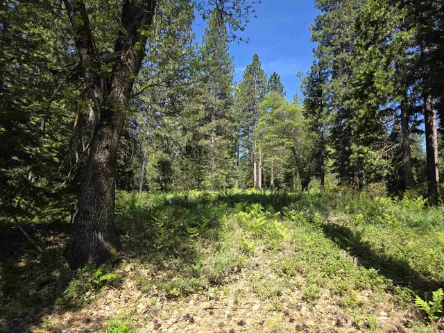 Lot 74 Old Mill Dr, McCloud, CA 96057