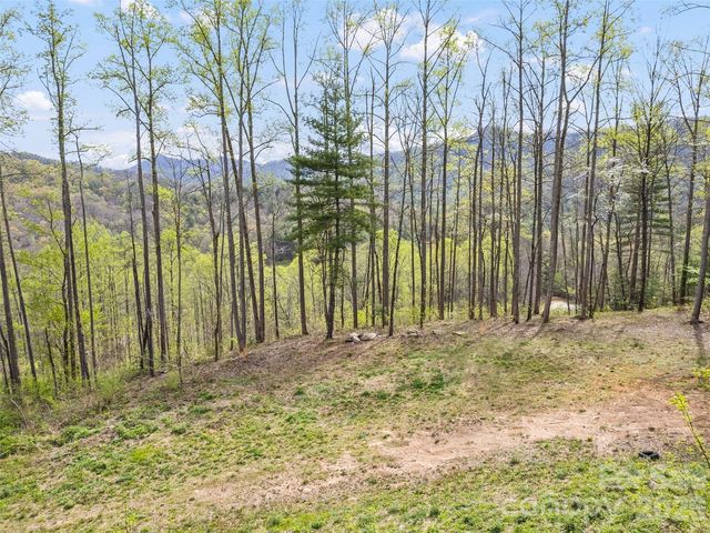 Willow Ln, Robbinsville, NC 28771