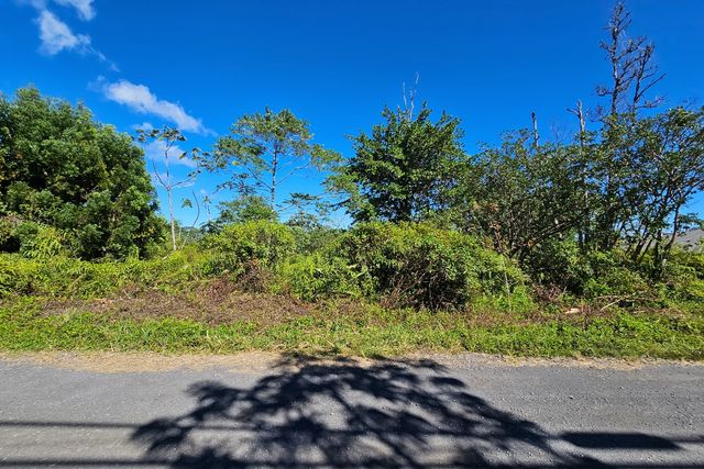 37th Ave #60, Kurtistown, HI 96760