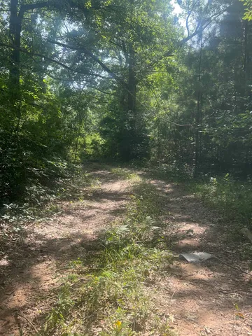 6758 State Highway 147 S, San Augustine, TX 75972