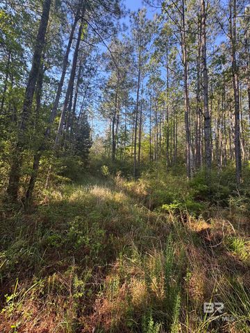 S  Blakeley Oaks Dr #13, Daphne, AL 36527