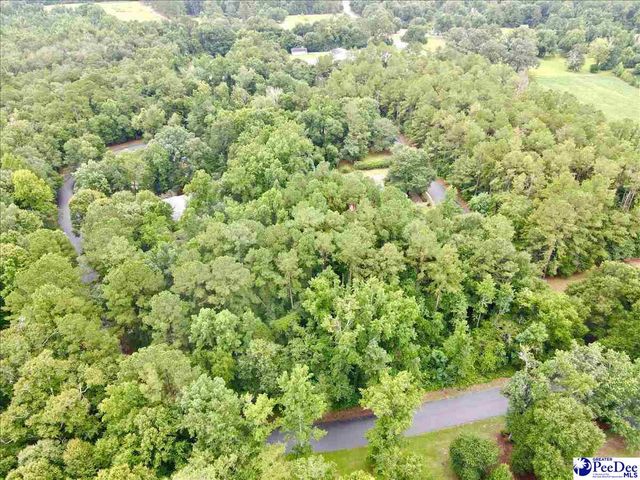 1412 Marion Green Rd, Florence, SC 29506