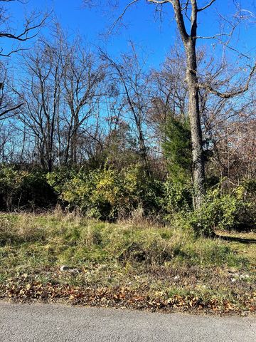 000 Woodcliffe South Drive Lot 1, Springfield, MO 65804