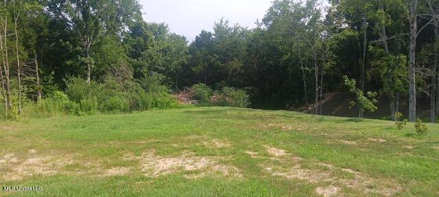 12 Clover Cv, Coldwater, MS 38618