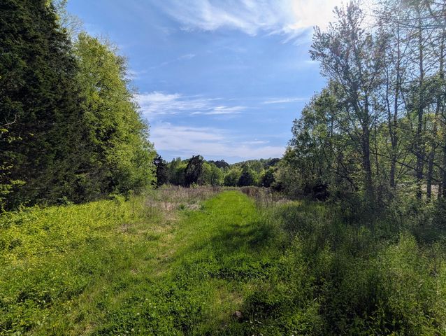 Ladd Springs Rd, Old Fort, TN 37362
