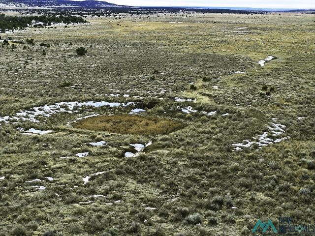 County Road 33, Fence Lake, NM 87315