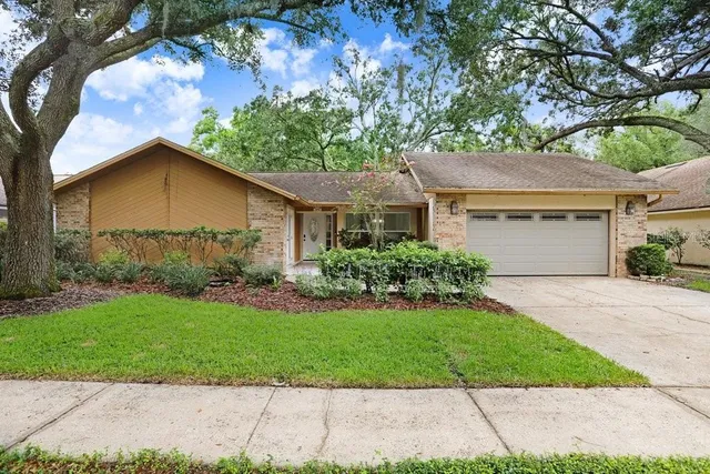 1040 Sylvia Ln, Tampa, FL 33613