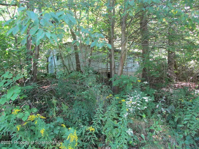 47 C Ave, Brackney, PA 18812