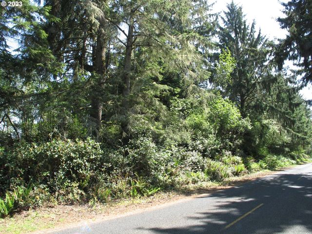 Stackpole Rd, Oysterville, WA 98641