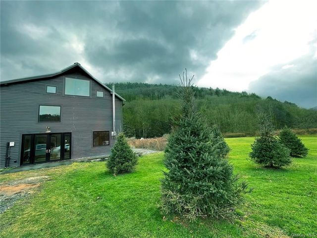 5876 River Road, Downsville, NY 13755