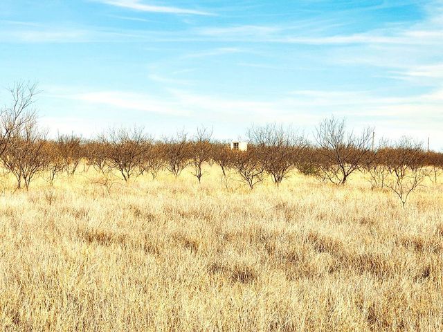 4825 Count Rd   #340, Doole, TX 76836
