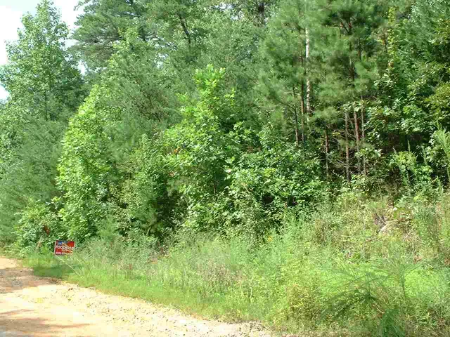 Horse Creek Dr, Mill Spring, NC 28756