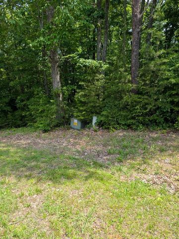 20 Wilderness Creek Way, Murphy, NC 28906