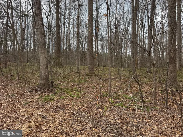 7 Harness Ln, Louisa, VA 23093
