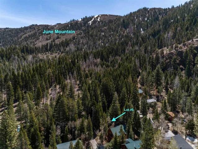 Piute Dr, June Lake, CA 93529