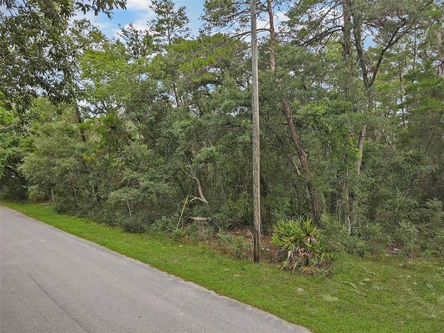 Yearling Ave  #1, Spring Hill, FL 34607
