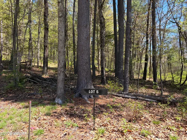 112 Tallman Hollow Rd #5, Montoursville, PA 17754