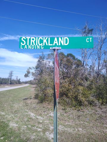 Strickland Landing Ct, Perry, FL 32348