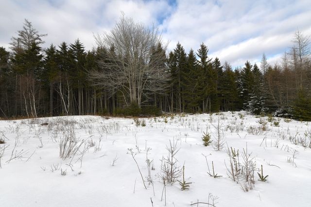 12 Lindsay's Road, Deer Isle, ME 04627