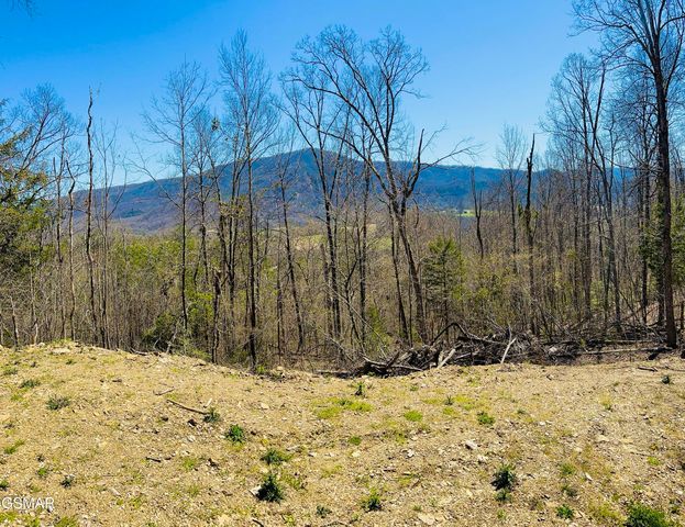 Quail Way, Sevierville, TN 37862