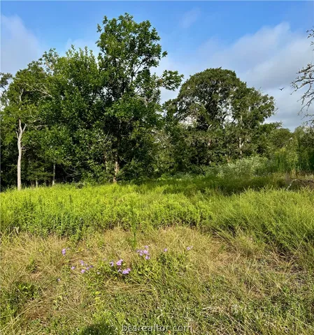 6766 River Oaks Dr, College Station, TX 77845