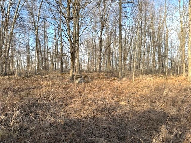 Lot 1 Thorn Apple Dr, Wittenberg, WI 54499