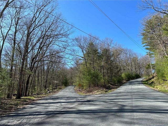 4 Mail Road, Barryville, NY 12719