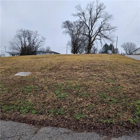 203 N  23rd St, Lexington, MO 64067