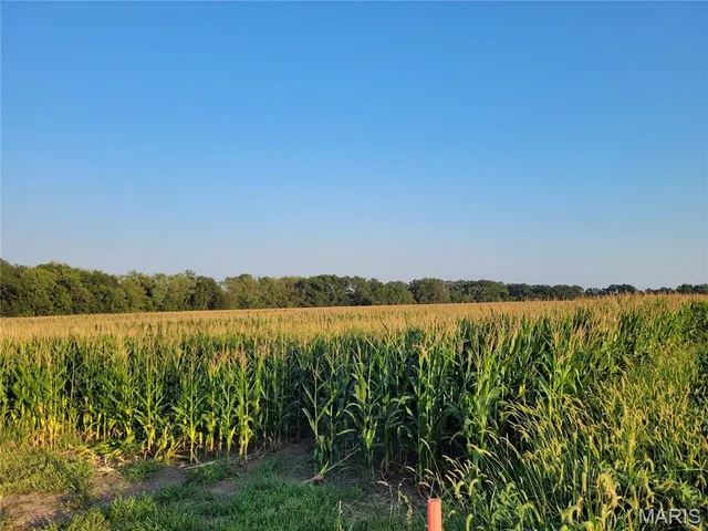 Highway Dd #G, Bellflower, MO 63333