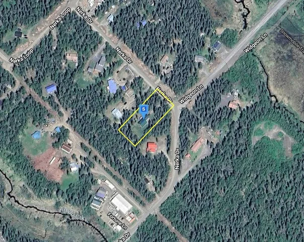 1405 Nerka Dr, Dillingham, AK 99576