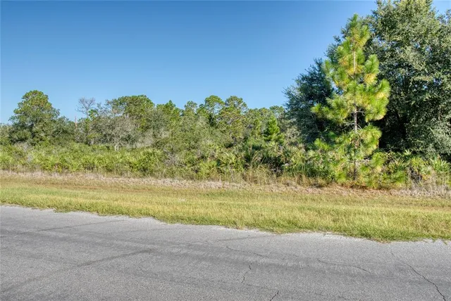 Reynolds Pkwy #880, Orlando, FL 32833