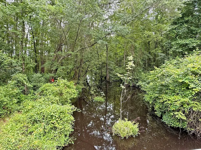 Willamette Rd, Bennettsville, SC 29512