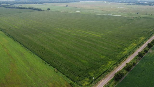 S  250th Ave, Fullerton, NE 68638