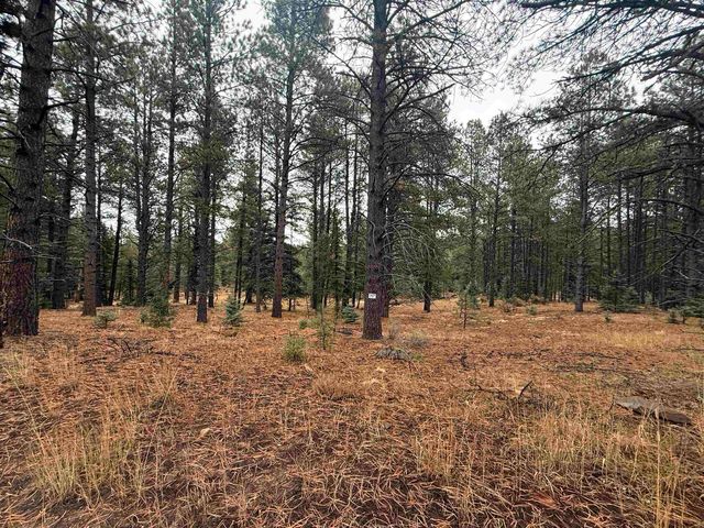 37 Valle Grande Trl S, Angel Fire, NM 87710