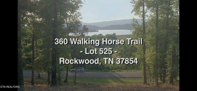 360 Walking Horse Trl, Rockwood, TN 37854
