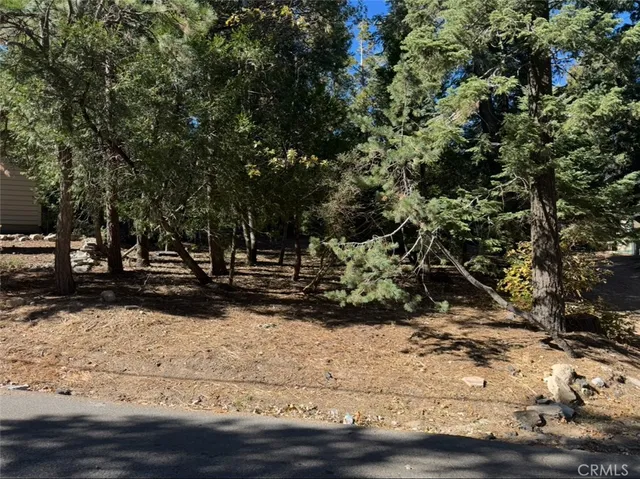 Clubhouse Dr #16, Twin Peaks, CA 92391