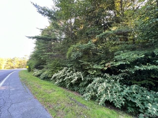 943 State Route 42, Sparrow Bush, NY 12780