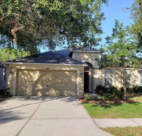 3241 Gianna Way, Land O Lakes, FL 34638