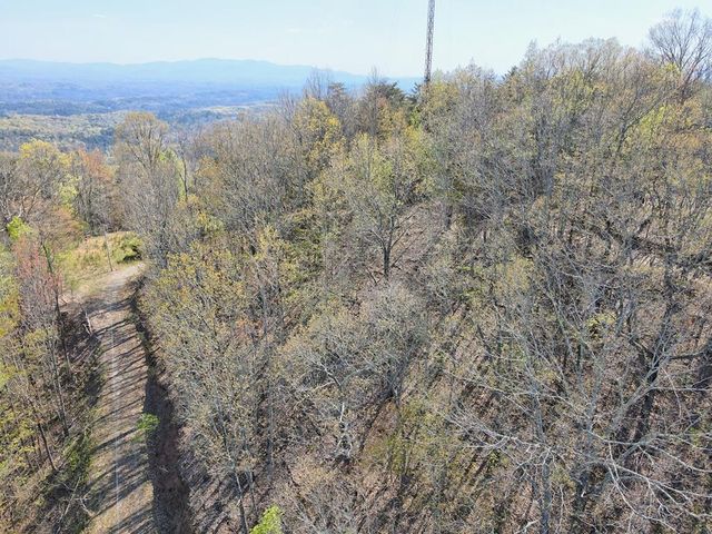 36 Moosilaukee Dr, Mineral Bluff, GA 30559