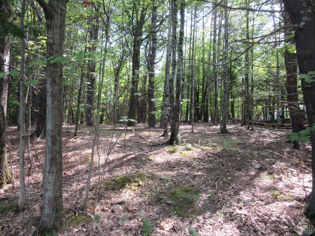 Lakeview Rd, East Durham, NY 12423