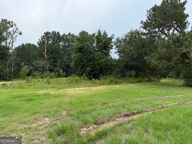 231 Sandy Ln, Brooks, GA 30205
