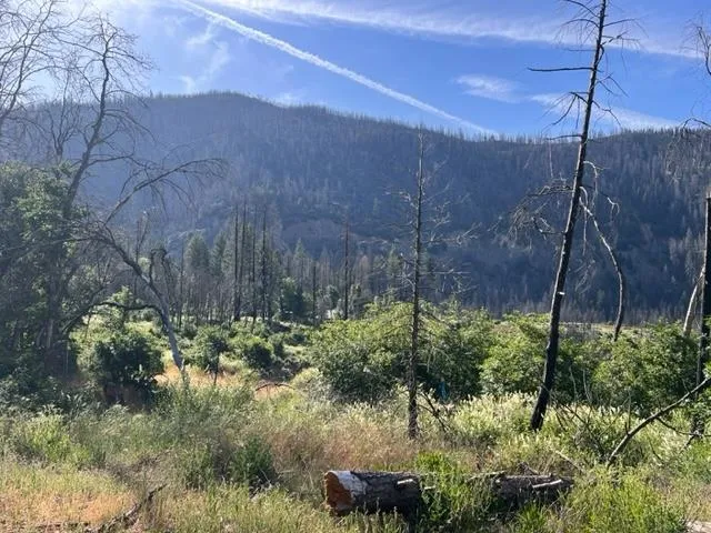 249 Thompson Ave, Crescent Mills, CA 95934