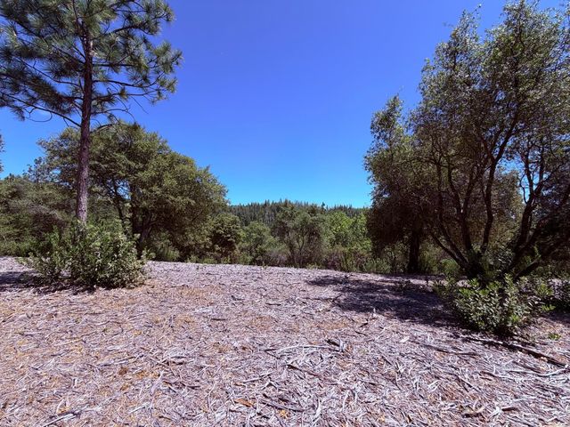 Acres Big Oak Court, Placerville, CA 95667