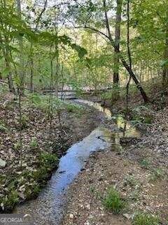 Browning Rd, Rockmart, GA 30153