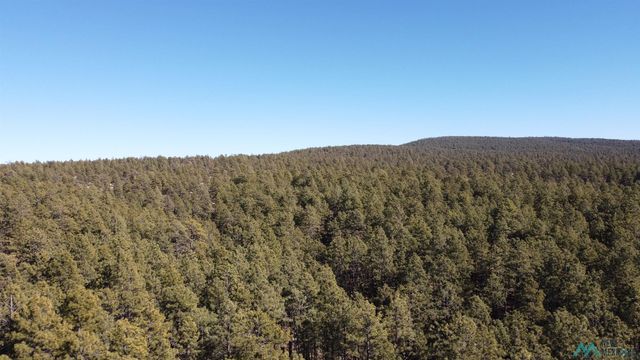 Lot-33B McGaffey Pnes, Fort Wingate, NM 87316