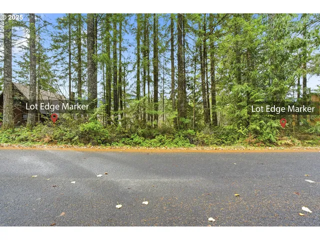 65344 E  Sandy River Ln, Rhododendron, OR 97049