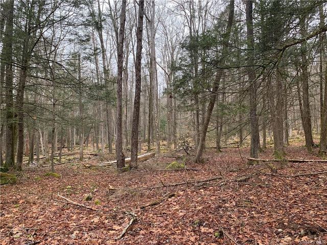  French Clearing Road, Forestburgh, NY 12777