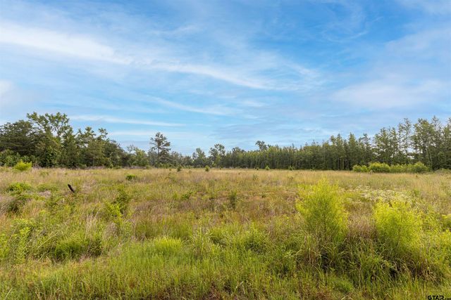 State Highway 64, Ben Wheeler, TX 75754