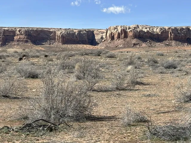 964 Prickly Pear Ave, Bluff, UT 84512